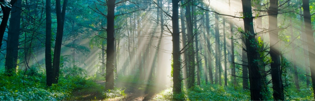 دنا • تصویر و متن